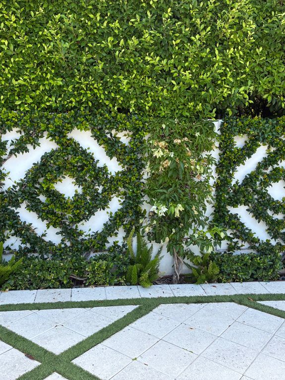 Custom landscape design tailored to your vision